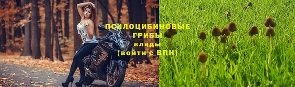 молекула духа Магас
