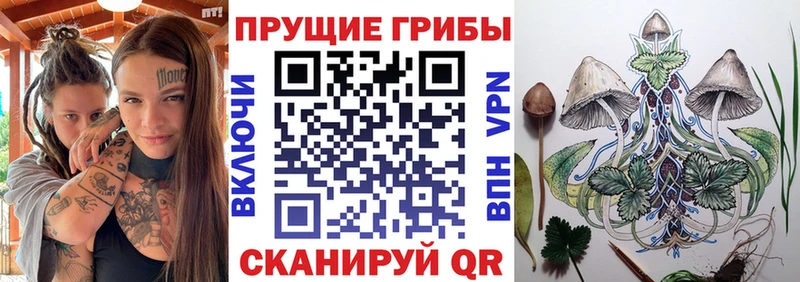Псилоцибиновые грибы Cubensis  цена   ссылка на мегу маркетплейс  Вышний Волочёк 